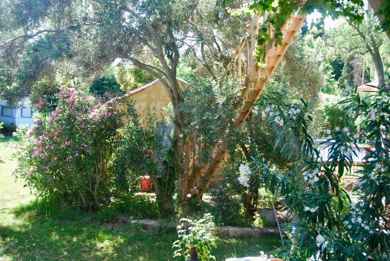 Villa Les Volets Bleus Provence Salon-de-Provence Exterior foto