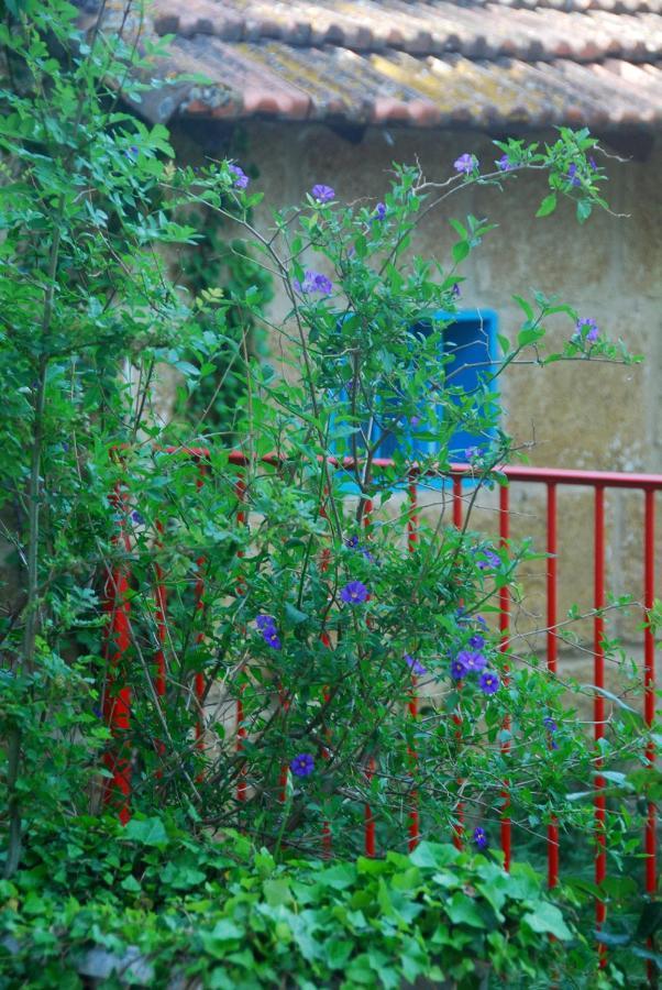 Villa Les Volets Bleus Provence Salon-de-Provence Exterior foto